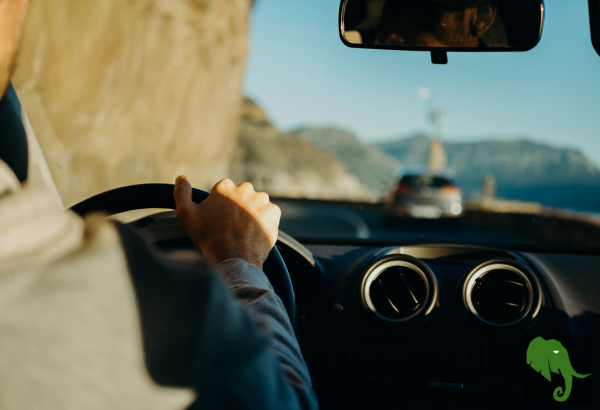 Shot from backseat of driver driving down the road