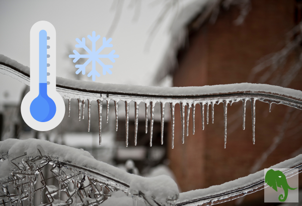 limbs with ice cycles and side of house in background with snow around