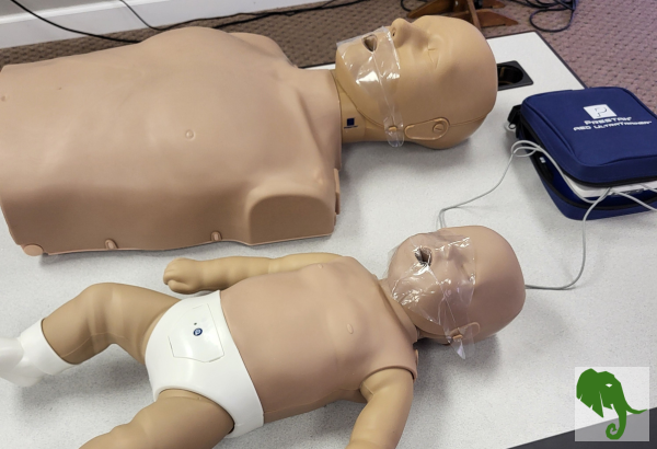 CPR dummies, adult and infant, with AED trainer