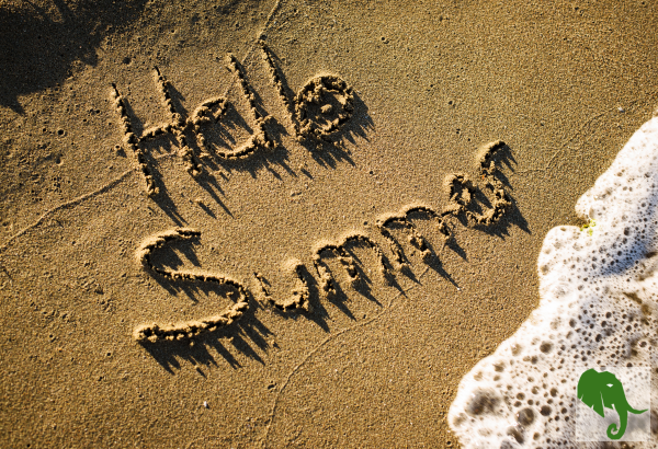 Summer Safety Tips: Heat, Water, Travel & Home Security