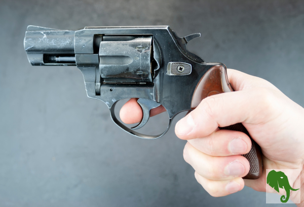 Hand shown holding a snub-nose revolver with their finger on the trigger 